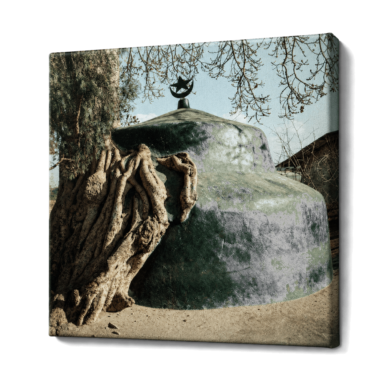 Arbre et mausolée